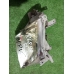 Фара правая MAZDA MPV LWEW 1999-2002 Фара правая MAZDA MPV LWEW 1999-2002