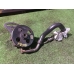 Насос гур CHEVROLET SPARK M300 B10D1 2009-2022