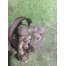 Насос гур MAZDA 3 BK Z6 2003-2009 Насос гур MAZDA 3 BK Z6 2003-2009