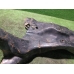 Подрамник передний MITSUBISHI LANCER CS 2000-2010 Подрамник передний MITSUBISHI LANCER CS 2000-2010