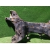 Подрамник передний MITSUBISHI LANCER CS 2000-2010 Подрамник передний MITSUBISHI LANCER CS 2000-2010