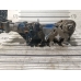 Коллектор впускной MAZDA BT-50 UN8F1 WE 2006-2012 Коллектор впускной MAZDA BT-50 UN8F1 WE 2006-2012