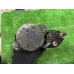 Стартер OPEL ASTRA Z16XER 2002-2006 Стартер OPEL ASTRA Z16XER 2002-2006