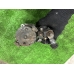 Стартер OPEL ASTRA Z16XER 2004-2006 Стартер OPEL ASTRA Z16XER 2004-2006