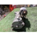 Стартер FORD MONDEO BD SEBA 2007-2010 Стартер FORD MONDEO BD SEBA 2007-2010