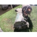 Стартер FORD FOCUS CB4 AODA 2004-2012 Стартер FORD FOCUS CB4 AODA 2004-2012