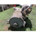 Стартер FORD FOCUS CB4 QQDB 2004-2012 Стартер FORD FOCUS CB4 QQDB 2004-2012