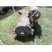 Стартер FORD FOCUS CB4 QQDB 2004-2012