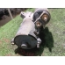 Стартер FORD FOCUS CB4 QQDB 2004-2012