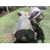 Стартер FORD FOCUS CB4 QQDB 2004-2012 Стартер FORD FOCUS CB4 QQDB 2004-2012