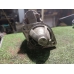 Стартер MAZDA 3 BK Z6 2003-2008 Стартер MAZDA 3 BK Z6 2003-2008