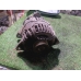Генератор MITSUBISHI CARISMA DA 4G18 1999-2005 Генератор MITSUBISHI CARISMA DA 4G18 1999-2005